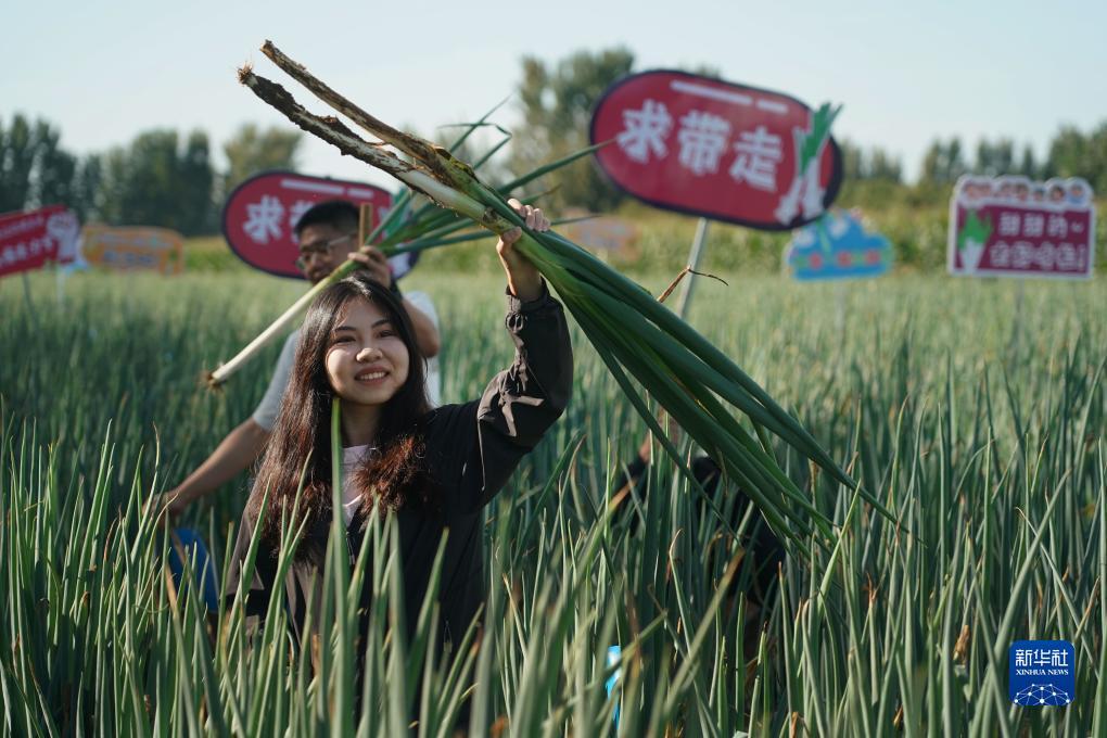 金利游戏